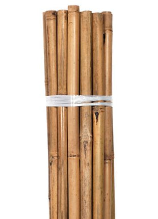 Grower's Edge Natural Bamboo 4 ft Bulk Bundle of 100