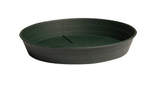 Green Premium Saucer, 10", pack of 25