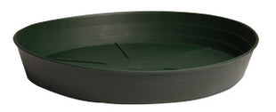 Green Premium Saucer, 6", pack of 25
