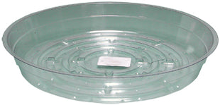 Clear Saucer, 6", pack of 25