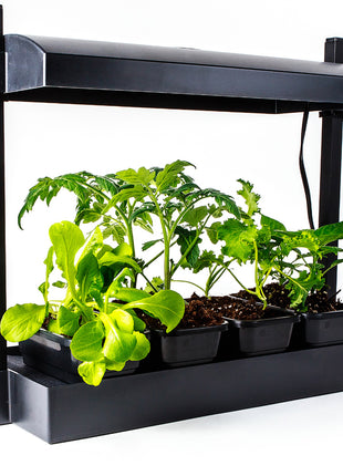 Sunblaster Micro LED Grow Light Garden, Black
